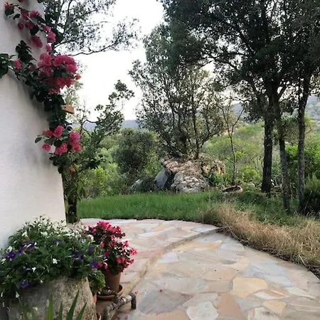 Villa Nel Bosco Per Fare Forest Bathing