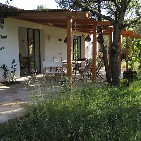 Nel Bosco Per Fare Forest Bathing Villa