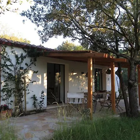 Nel Bosco Per Fare Forest Bathing Villa Sanalvo