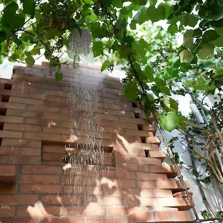 Villa Nel Bosco Per Fare Forest Bathing *