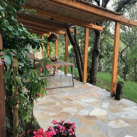 Nel Bosco Per Fare Forest Bathing Villa Sanalvo