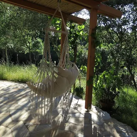 Nel Bosco Per Fare Forest Bathing * Sanalvo