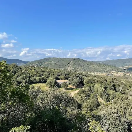 Villa Nel Bosco Per Fare Forest Bathing *